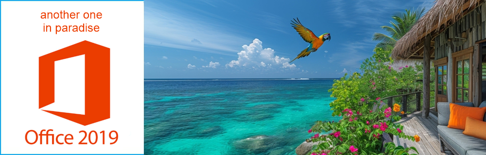 Office 2019 Supportende